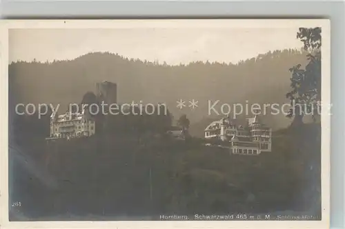 AK / Ansichtskarte Hornberg_Schwarzwald Schloss Hotel Hornberg Schwarzwald