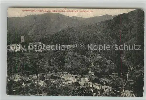 AK / Ansichtskarte Hornberg_Schwarzwald Schlosshotel Hornberg Schwarzwald