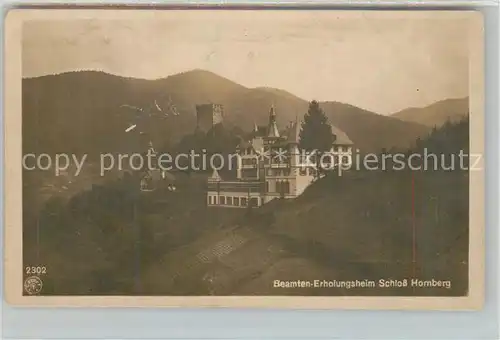 AK / Ansichtskarte Hornberg_Schwarzwald Beamten Erholungsheim Schloss Hornberg Schwarzwald