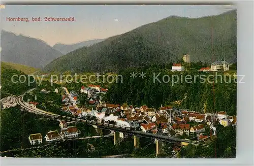 AK / Ansichtskarte Hornberg_Schwarzwald Panorama Schloss Hornberg Schwarzwald