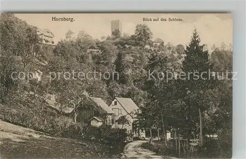 AK / Ansichtskarte Hornberg_Schwarzwald Schloss Panorama Hornberg Schwarzwald