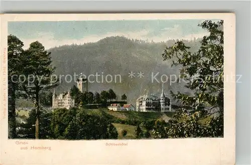 AK / Ansichtskarte Hornberg_Schwarzwald Schlosshotel Hornberg Schwarzwald