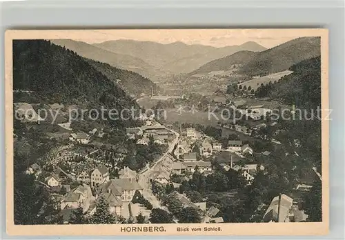 AK / Ansichtskarte Hornberg_Schwarzwald Blick vom Schloss Hornberg Schwarzwald