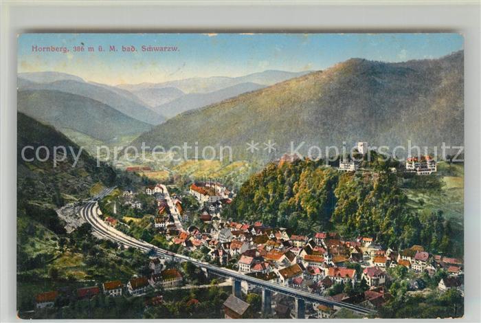 AK / Ansichtskarte Hornberg_Schwarzwald Panorama Schlossberg Hornberg