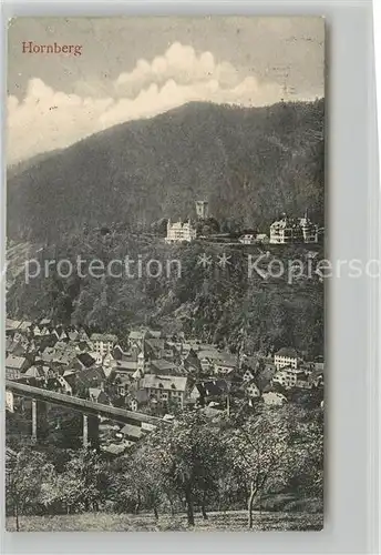 AK / Ansichtskarte Hornberg_Schwarzwald Panorama Schlossberg Hornberg Schwarzwald