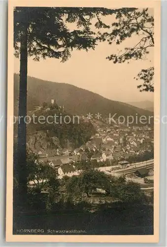 AK / Ansichtskarte Hornberg_Schwarzwald Panorama Schloss Hornberg Schwarzwald