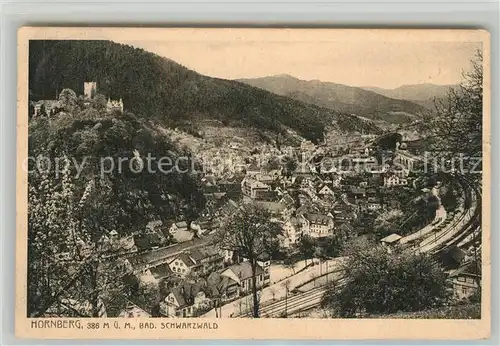 AK / Ansichtskarte Hornberg_Schwarzwald Panorama Hornberg Schwarzwald