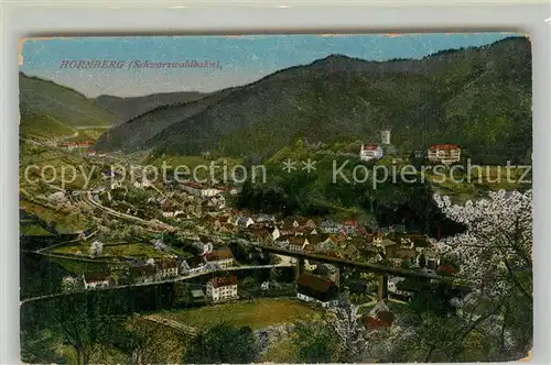 AK / Ansichtskarte Hornberg_Schwarzwald Panorama Hornberg Schwarzwald