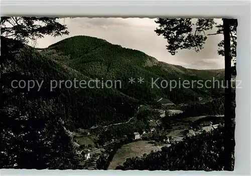 AK / Ansichtskarte Niederwasser Panorama Niederwasser