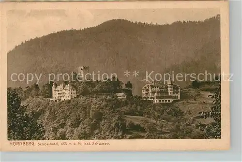 AK / Ansichtskarte Hornberg_Schwarzwald Schlossberg Hornberg Schwarzwald