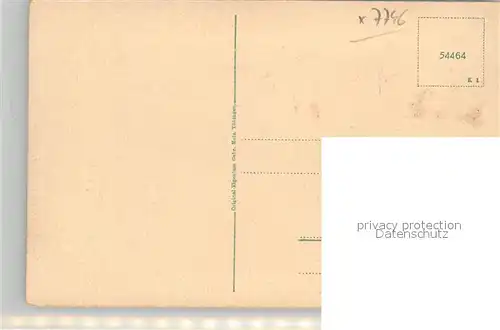 AK / Ansichtskarte Hornberg_Schwarzwald Schlossberg Hornberg Schwarzwald