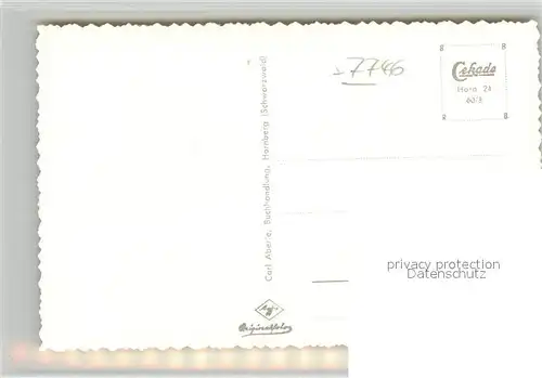 AK / Ansichtskarte Hornberg_Schwarzwald Reichenbachtal Viadukt Hornberg Schwarzwald