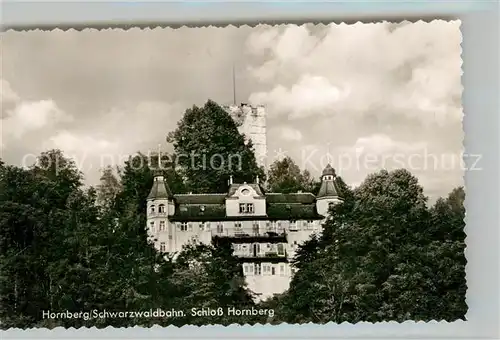 AK / Ansichtskarte Hornberg_Schwarzwald Schloss Hornberg Schwarzwald