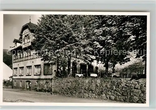 AK / Ansichtskarte Hornberg_Schwarzwald Gasthaus zum Krokodil Hornberg Schwarzwald