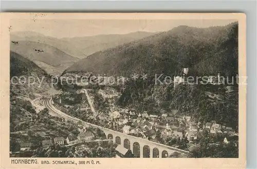 AK / Ansichtskarte Hornberg_Schwarzwald Panorama Viadukt Schloss Hornberg Schwarzwald
