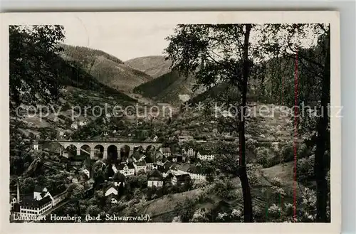 AK / Ansichtskarte Hornberg_Schwarzwald Panorama Hornberg Schwarzwald
