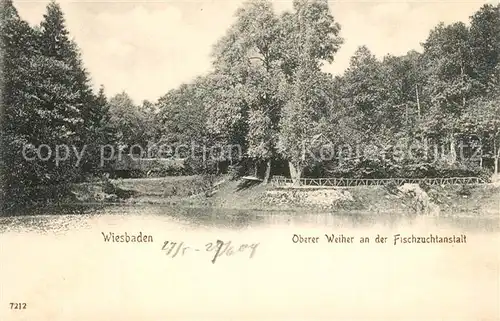 AK / Ansichtskarte Wiesbaden Oberer Weiher an der Fischzuchtanstalt Wiesbaden