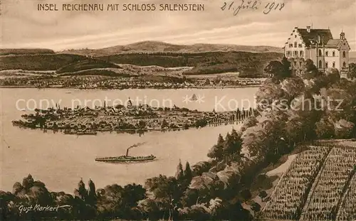 AK / Ansichtskarte Salenstein_TG Panorama mit Insel Reichenau Kuenstlerkarte Salenstein_TG