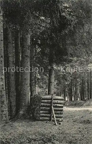 AK / Ansichtskarte Koenigsfeld_Schwarzwald Waldweg zum Blockhaus Koenigsfeld Schwarzwald