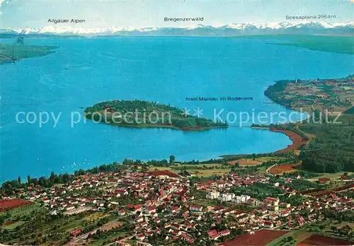 AK / Ansichtskarte Litzelstetten_Bodensee Fliegeraufnahme Litzelstetten_Bodensee