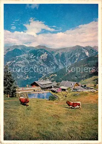 AK / Ansichtskarte Badgastein W?hrers Bellevue Alm Badgastein