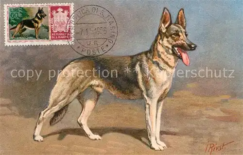 AK / Ansichtskarte Hunde Alsatian Wolfhound Kuenstlerkarte I. Rivst San Marino  Hunde