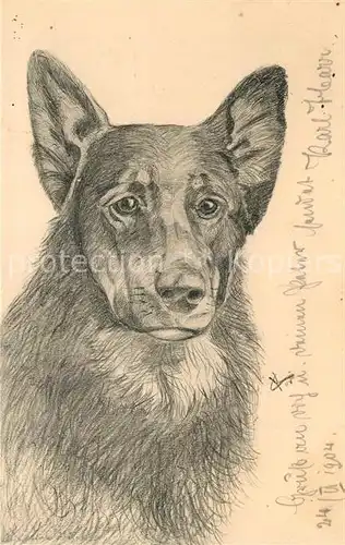 AK / Ansichtskarte Schaeferhunde Kuenstlerkarte Carl Kuehnle  Schaeferhunde