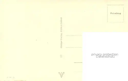 AK / Ansichtskarte Schaeferhunde Welpen Schaeferhunde