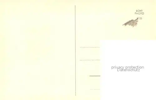 AK / Ansichtskarte Schaeferhunde  Schaeferhunde