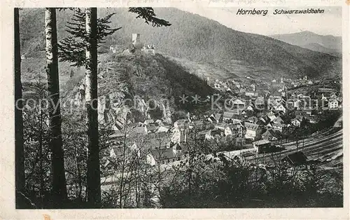 AK / Ansichtskarte Hornberg_Schwarzwald Panorama Hornberg Schwarzwald