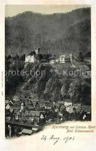 AK / Ansichtskarte Hornberg_Schwarzwald Schloss Hotel Hornberg Schwarzwald