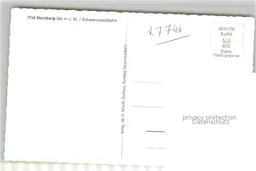 AK / Ansichtskarte Hornberg_Schwarzwald Panroama Schwarzwaldbahn Viadukt Hornberg Schwarzwald