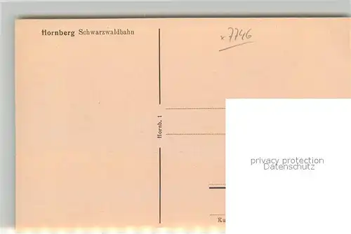 AK / Ansichtskarte Hornberg_Schwarzwald Panorama Schloss Hornberg Schwarzwald