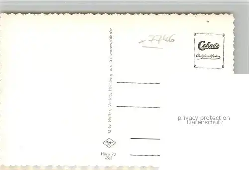 AK / Ansichtskarte Hornberg_Schwarzwald Panorama  Hornberg Schwarzwald