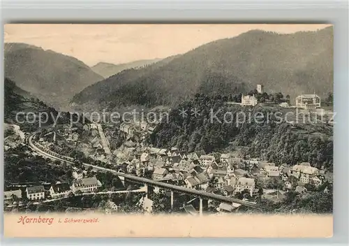 AK / Ansichtskarte Hornberg_Schwarzwald Panorama Schwarzwaldbahn Hornberg Schwarzwald