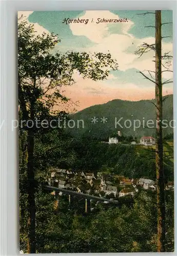 AK / Ansichtskarte Hornberg_Schwarzwald Panorama Schwarzwaldbahn Hornberg Schwarzwald