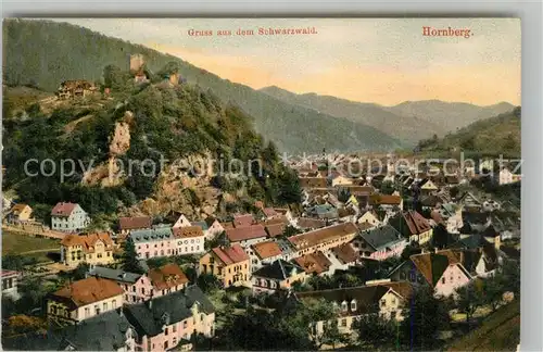 AK / Ansichtskarte Hornberg_Schwarzwald Panorama Schloss Hornberg Schwarzwald