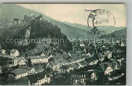 AK / Ansichtskarte Hornberg_Schwarzwald Panorama Schloss Hornberg Schwarzwald