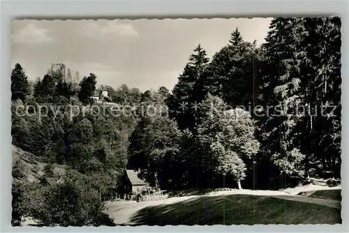 AK / Ansichtskarte Hornberg_Schwarzwald Blick zum Schloss Hornberg Schwarzwald