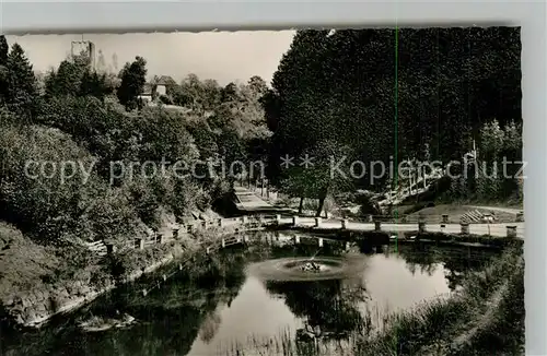 AK / Ansichtskarte Hornberg_Schwarzwald Forellenteich Hornberg Schwarzwald