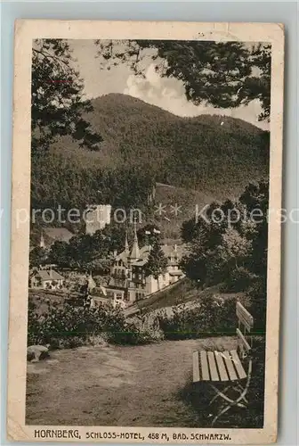 AK / Ansichtskarte Hornberg_Schwarzwald Schloss Hotel Hornberg Schwarzwald