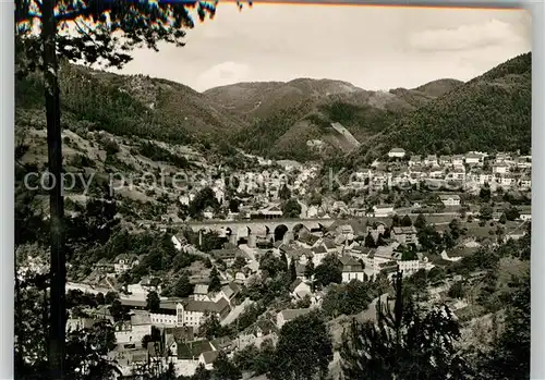 AK / Ansichtskarte Hornberg_Schwarzwald Panorama mit Schwarzwaldbahn Hornberg Schwarzwald