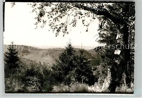 AK / Ansichtskarte Hornberg_Schwarzwald Buechereck Hornberg Schwarzwald