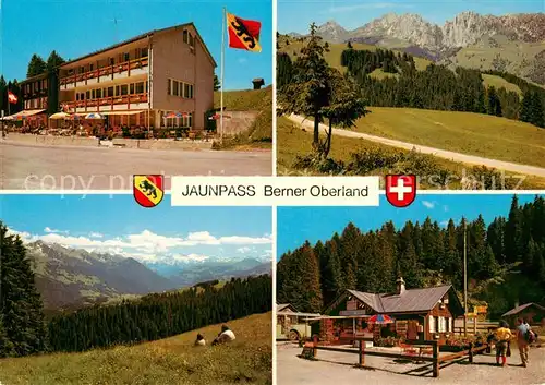 AK / Ansichtskarte Jaunpass Hotel des Alpes Simmental Sportbazar Jaunpass