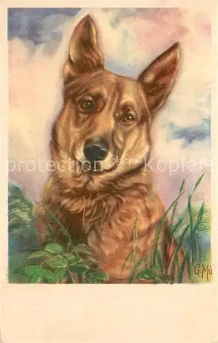 AK / Ansichtskarte Schaeferhunde Kuenstlerkarte Schaeferhunde