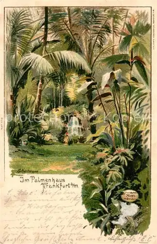 AK / Ansichtskarte Frankfurt_Main Im Palmenhaus Frankfurt Main