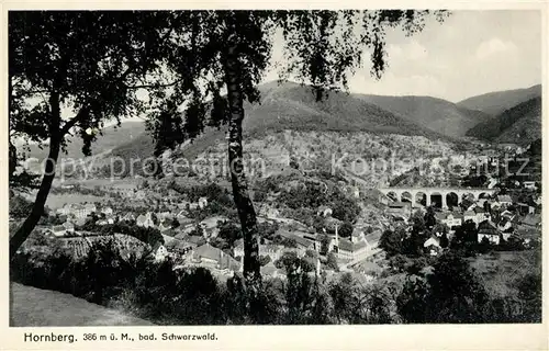 AK / Ansichtskarte Hornberg_Schwarzwald Panorama Viadukt Hornberg Schwarzwald