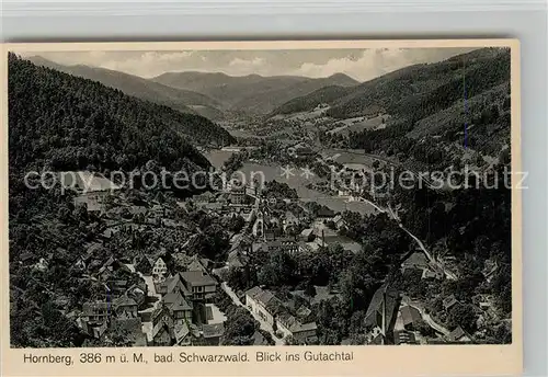 AK / Ansichtskarte Hornberg_Schwarzwald Panorama Gutachtal Hornberg Schwarzwald