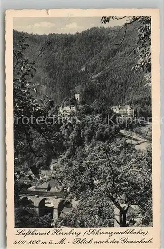 AK / Ansichtskarte Hornberg_Schwarzwald Schwarzwaldbahn Hornberg Schwarzwald