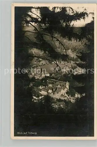 AK / Ansichtskarte Triberg_Schwarzwald Teilansicht Triberg Schwarzwald